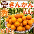 宮崎・鹿児島県 ”きんかん” 秀品 M～L 約1kg 金柑【予約 11月下旬以降】