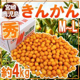 宮崎・鹿児島県 ”きんかん” 秀品 M～L 約4kg 金柑【予約 11月下旬以降】 送料無料