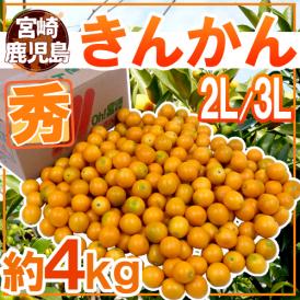 宮崎・鹿児島県 ”きんかん” 秀品 2L～3L 約4kg 金柑【予約 12月以降】 送料無料