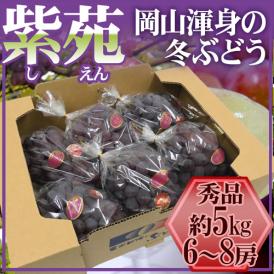 岡山産 ”紫苑ぶどう” 秀品 大房 6～8房 約5kg【予約 10月下旬以降】 送料無料