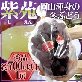 ”岡山産 紫苑ぶどう” 秀品 大房 1房 約700g以上【予約 10月下旬以降】