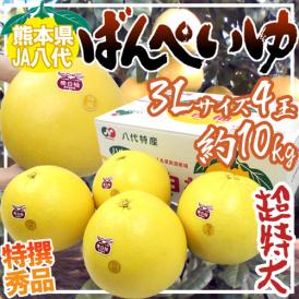 熊本県八代特産 ”晩白柚” ばんぺいゆ 秀品 超特大3Lサイズ 4玉 約10kg【予約 12月下旬以降】 送料無料