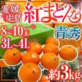 愛媛中島産 ”紅まどんな” 青秀品 3L~4L 8~10玉 約3kg【お歳暮・予約 12月以降】 送料無料