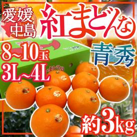 愛媛中島産 ”紅まどんな” 青秀品 3L~4L 8~10玉 約3kg【お歳暮・予約 12月以降】 送料無料
