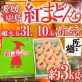 愛媛中島産 ”紅まどんな” 赤秀品 超大玉3L 10玉 約3kg 「匠と極」シリーズ【お歳暮・予約 12月以降】 送料無料