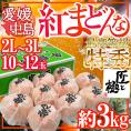 愛媛中島産 ”紅まどんな” 特秀品 大玉2L~3L 10~12玉 約3kg 「匠と極」シリーズ【お歳暮・予約 12月以降】 送料無料