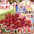 岩手江刺産 ”蜜入りサンふじ” ちょっと訳あり 24～36玉 約10kg【予約 11月末以降】 送料無料