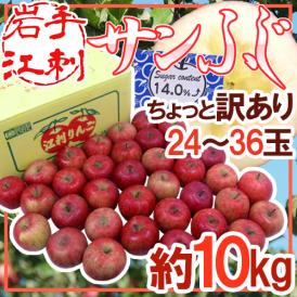 岩手江刺産 ”蜜入りサンふじ” ちょっと訳あり 24～36玉 約10kg【予約 11月末以降】 送料無料