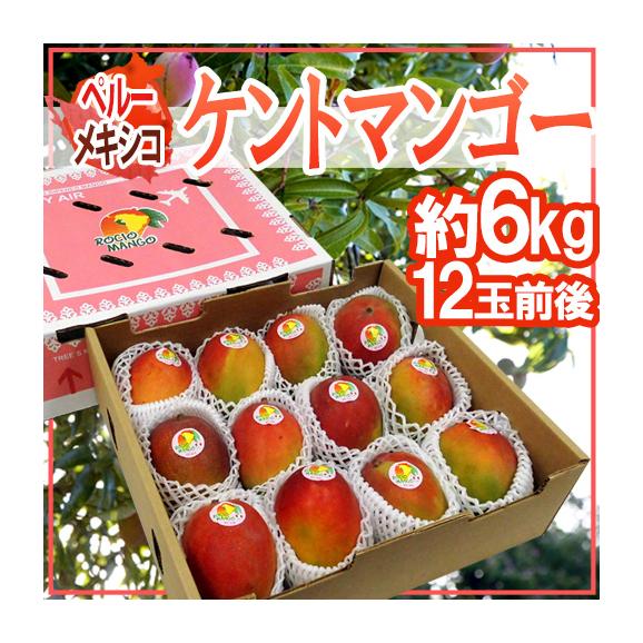 ペルー・メキシコ産 ”ケントマンゴー” 大玉12玉前後 約6kg 航空便【予約 11月中下旬以降】 送料無料01