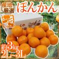 ”ぽんかん” 秀品 2L～3Lサイズ 約3kg 産地厳選 ポンカン【予約 1月中下旬以降】 送料無料