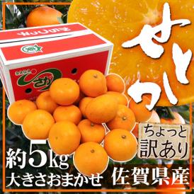 佐賀産 ”せとか” ちょっと訳あり 約5kg 大きさおまかせ【予約 1月下旬以降】 送料無料