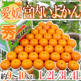 愛媛産 ”宮内いよかん” 秀品 L～4Lサイズ 約9～10kg【予約 1月中旬以降】 送料無料
