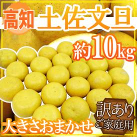 高知産 ”土佐文旦” 訳あり 約10kg 大きさおまかせ【予約 2月以降】 送料無料