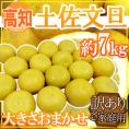 ”高知産 土佐文旦” 訳あり 約7kg 大きさおまかせ【予約 2月以降】 送料無料