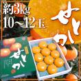 佐賀産 ”せとか” 大玉10～12玉 約3kg 化粧箱入り【予約 1月中旬以降】 送料無料