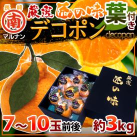 長崎 マルナン ”匠の味 葉付きデコポン” 秀品 7～10玉前後 約3kg【予約 12月以降】 送料無料