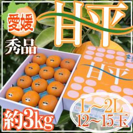 愛媛産 ”甘平” 秀品 L～2L 12～15玉 約3kg 化粧箱【予約 1月中旬以降】 送料無料