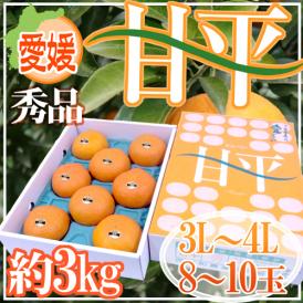 愛媛産 ”甘平” 秀品 3L～4L 超大玉8～10玉 約3kg 化粧箱【予約 1月中旬以降】 送料無料