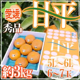 愛媛産 ”甘平” 秀品 5L～6L 特大玉6～7玉 約3kg 化粧箱【予約 1月中旬以降】 送料無料