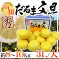 高知・宿毛産 ”だるま文旦” 秀品 超大玉 3L～大サイズ 約8～10kg【予約 2月以降】 送料無料