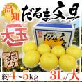 高知・宿毛産 ”だるま文旦” 秀品 超大玉 3L～大サイズ 約4～5kg【予約 2月以降】 送料無料