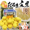 高知・宿毛産 ”だるま文旦” 秀品 大玉 L～2Lサイズ 約10kg【予約 2月以降】 送料無料