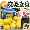 高知産 土佐文旦 ”宿毛文旦” 秀品 3L～大サイズ 約8～10kg 産地箱【予約 2月以降】 送料無料