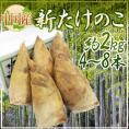 中国産 ”新たけのこ” 4～8本 約2kg 化粧箱入り【予約 12月以降】