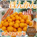 ”ぽんかん” 訳あり 約10kg 大きさおまかせ 産地厳選 ポンカン【予約 1月中下旬以降】 送料無料