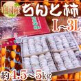 ”ちんと柿” L～3L 約4.5～5kg 中国産【予約 入荷次第発送】 送料無料