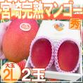 ”宮崎完熟マンゴー” 秀品 2Lサイズ 2玉入り 化粧箱 宮崎マンゴー【予約 4月下旬以降】 送料無料