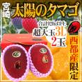 宮崎完熟マンゴー ”太陽のタマゴ” JA西都 超大玉3L 2玉入り【予約 4月以降】 送料無料