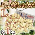 和歌山県産 ”新しょうが” 秀品 Lサイズ 約4kg【予約 6月下旬以降】 送料無料