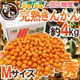 宮崎県 ”完熟きんかん” 秀品 M 約4kg あと少しで「完熟きんかんたまたま」になれなかったハウス金柑【予約 1月末以降】 送料無料