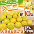 ”カリフォルニア産 メロゴールド” 訳あり 約10kg 大きさおまかせ【予約 11月末以降】 送料無料