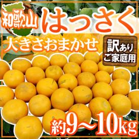 爽やかで甘酸っぱい八朔♪日本の柑橘！