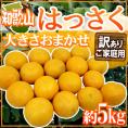 ”和歌山産 はっさく” 訳あり 約5kg 大きさおまかせ【予約 2月中旬以降】 送料無料