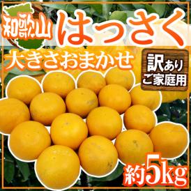 和歌山産 ”はっさく” 訳あり 約5kg 大きさおまかせ【予約 2月中旬以降】 送料無料