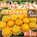 ”和歌山産 はっさく” 訳あり 約4kg 大きさおまかせ【予約 2月中旬以降】 送料無料