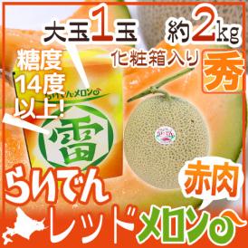 北海道 赤肉メロン ”らいでんレッドメロン” 1玉 約2kg 化粧箱【予約 7月中下旬以降】 送料無料