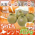 北海道 赤肉メロン ”らいでんレッドメロン” 4～5玉 約8kg 産地箱【予約 7月中下旬以降】 送料無料