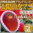 宮崎完熟マンゴー ”太陽のタマゴ” 超巨大5L 約650g以上 1玉入【予約 4月以降】 送料無料