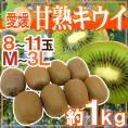 愛媛県 ”甘熟キウイ” 秀品 8~11玉前後 約1kg【予約 12月末以降】
