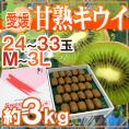愛媛県 ”甘熟キウイ” 秀品 24～33玉前後 約3kg【予約 12月末以降】 送料無料