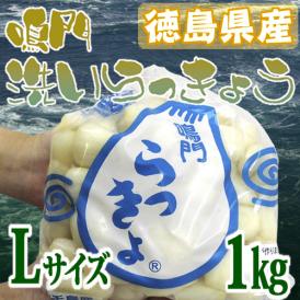 徳島 鳴門産 ”洗いらっきょう” 秀品 約1kg Lサイズ《5キロ購入で送料無料》【予約 5月下旬以降】