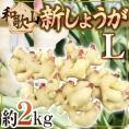 ”和歌山県産 新しょうが” 秀品 Lサイズ 約2kg【予約 6月下旬以降】 送料無料