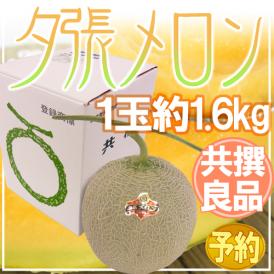 北海道 ”夕張メロン” 共撰良品 1玉 約1.6kg 化粧箱【予約 7月中下旬以降】 送料無料