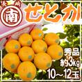 長崎産 ”マルナンせとか” 大玉 10～12玉 約3kg 化粧箱【予約 2月以降】 送料無料