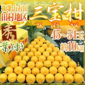 和歌山産 ”田村 三宝柑” 秀品 45～54玉 約10kg【予約 3月以降】 送料無料
