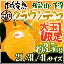 和歌山県下津産 ”樹上完熟 クラウンデコ” 2L/3L/4Lサイズ 約3.5kg【予約 3月以降】 送料無料